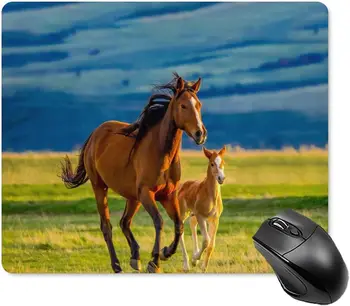 Konj Kobila in Malo Foal Mouse Pad Non-Slip Računalniško Miško Mat Mousepad z Gumo, ki je Osnova za Office Home Računalnik, 20 * 25 cm