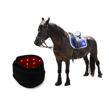 Novi, ki Prihajajo Prenosni 660nm 850nm Konj Red Light Terapija Pralni LED Rdeča Svetloba, Infrardeče Terapije Kolena Za Konja