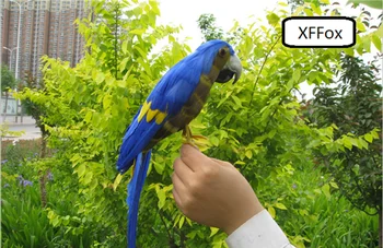 novo resničnem življenju blue parrot model pene&feather Budgerigar ptica darilo približno 30 cm xf0092